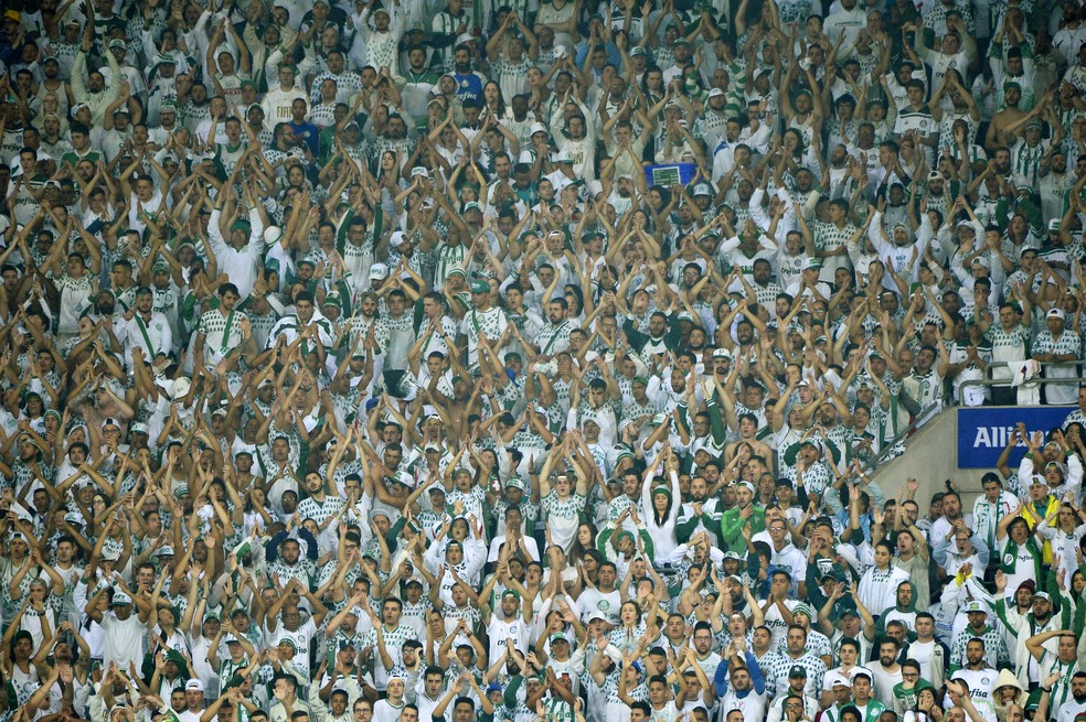 Torcida do Palmeiras tem maior concentração entre as pessoas de 25 a 34 anos — Foto: Marcos Ribolli