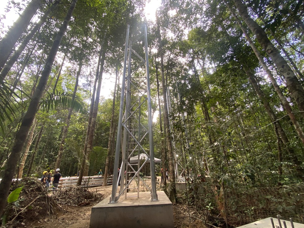 Torres do programa AmazonFace, do Inpa, já começaram a ser construídas no Amazonas. — Foto: Patrick Marques/g1 AM
