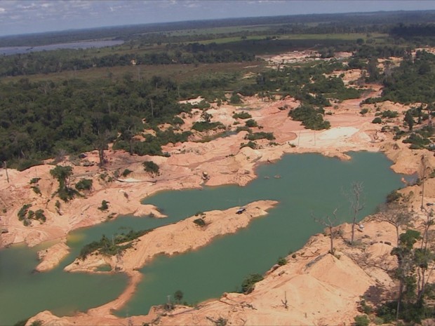 Flona Vale do Jamari (Foto: Rede Amazônica/ Reprodução)