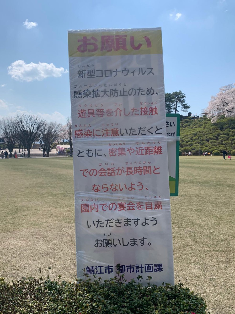 Cartaz no parque da cidade de Sabae, no Japão, informa sobre cuidados contra o coronavírus. Ao fundo cerejeiras. Neste ano, governo proibiu tradicionais piqueniques sob as árvores — Foto: Divulgação/Arquivo pessoal