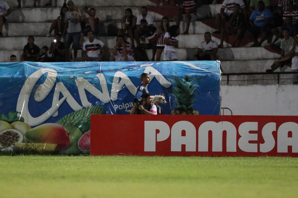 Anderson teve que deixar o cachorro na arquibancada para que jogo pudesse ser retomado — Foto: Aldo Carneiro / Pernambuco Press