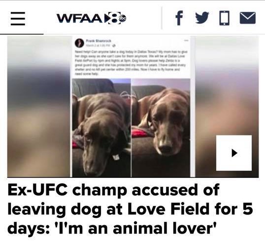 Um site internacional noticiando o abandono da cachorra pelo ex-atleta do UFC Frank Shamrock (Foto: Reprodução)