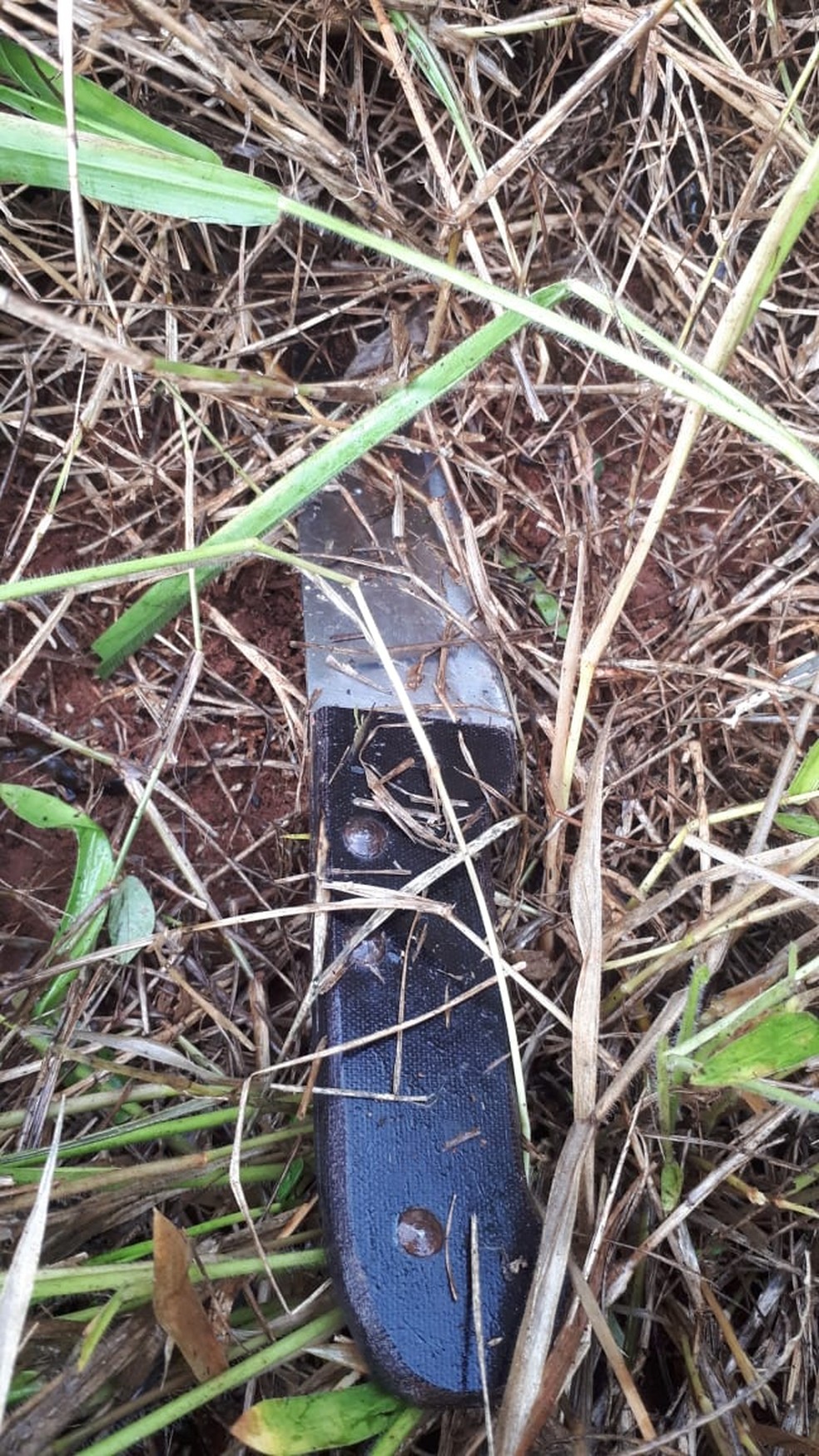 Homem foi atingido com 11 facadas no peito e nas costas — Foto: Polícia Civil