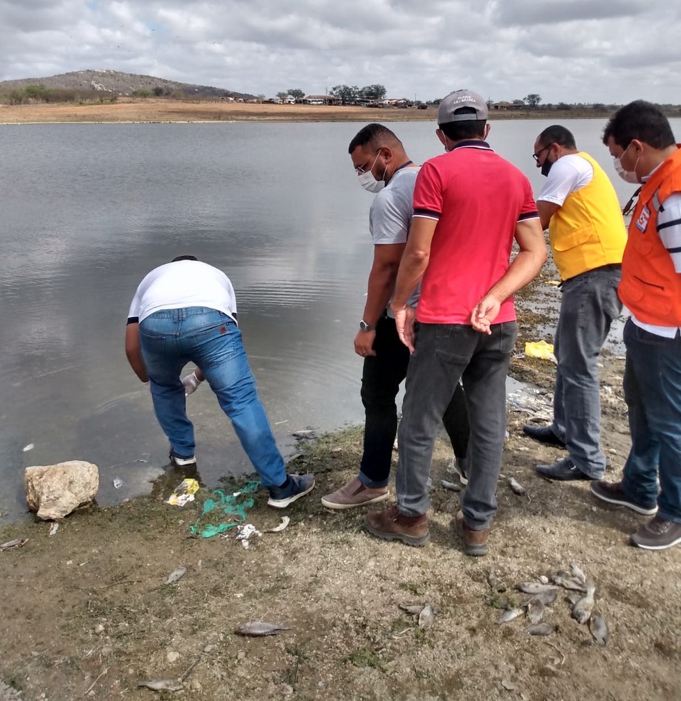 T&eacute;cnicos suspeitam que morte de peixes em a&ccedil;ude de Jo&atilde;o C&acirc;mara foi provocada pela seca  &mdash; Foto: Cedida