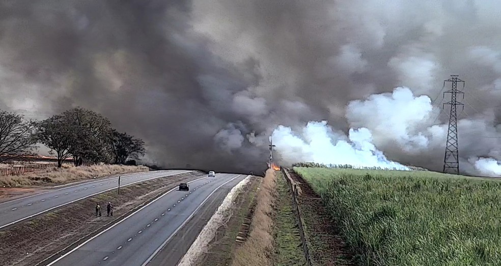 Nuvem de fuma&ccedil;a encobre SP-322 em Pontal (SP) durante inc&ecirc;ndio em canavial &mdash; Foto: Entrevias