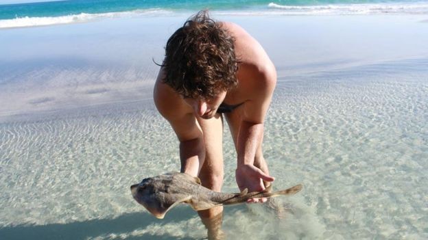 O biólogo encontrou espécie de arraia que achou em poça na Praia Brava, em Arraial do Cabo (Foto: Arquivo Pessoal via BBC)