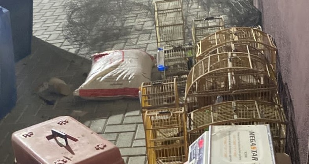 Aves silvestres estavam em gaiolas no local usado para rinha de galos — Foto: Polícia Militar/Divulgação