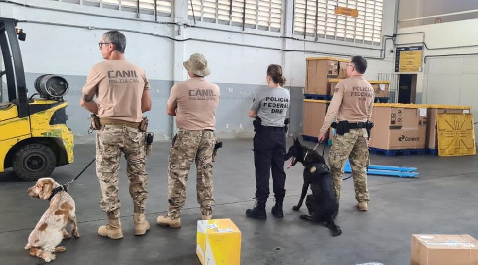 Droga foi encontrada em operação conjunta no Centro de Tratamento de Cartas e Encomendas — Foto: Divulgação
