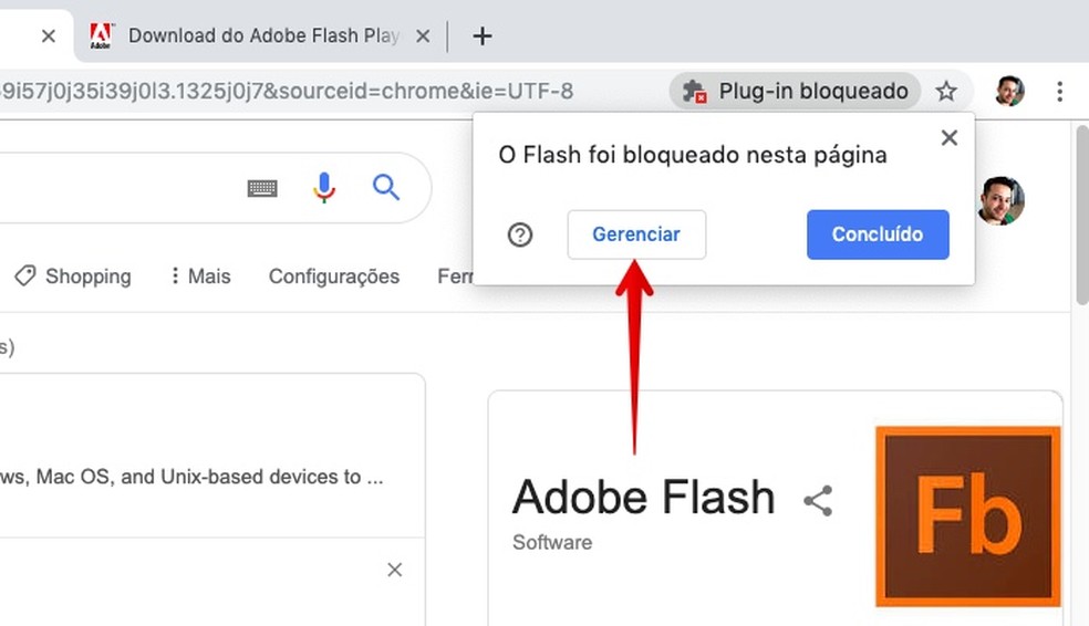 extension para descargar adobe flash player chrome