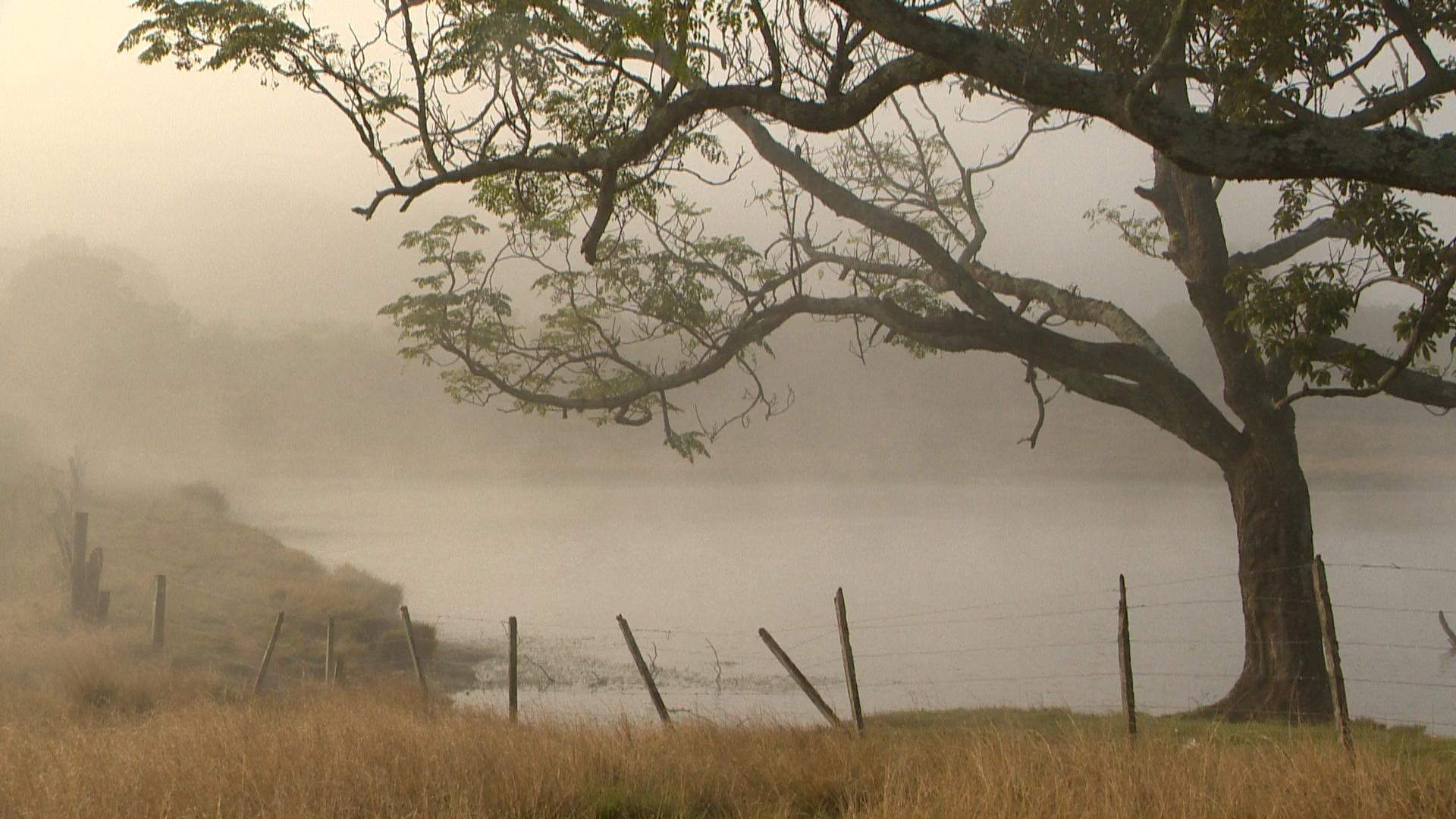 Frio segue em todo o RS neste fim de semana, diz Climatempo