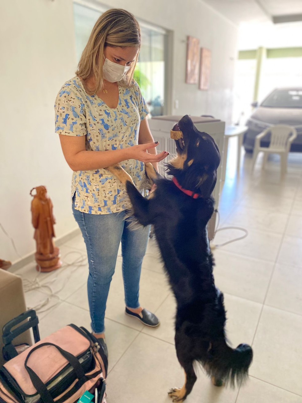 Veterinária abraçou cachorro durante atendimento em Teresina — Foto: Reprodução Pessoal