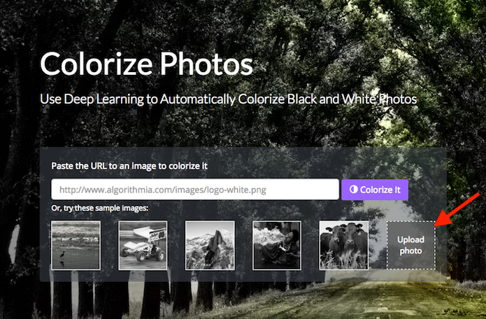 Acessando a ferramenta para uploads de imagens do Colorize Photos (Foto: Reprodução/Marvin Costa)