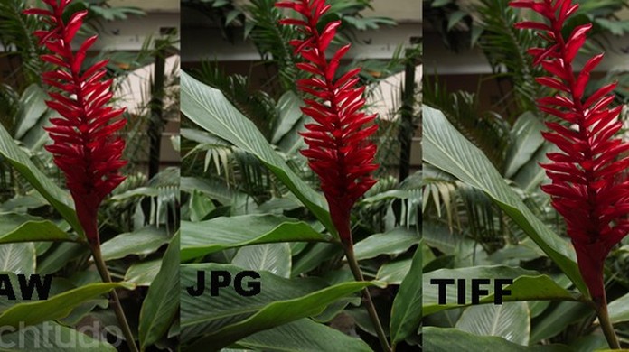 Jpg Tiff Ou Raw Qual O Melhor Formato Para Sua Fotografia Digital Dicas E Tutoriais Techtudo