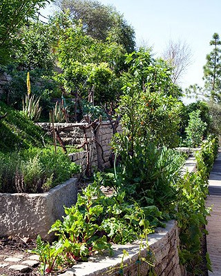 A horta de Gisele (Foto: Reprodução/Architectural Digest)