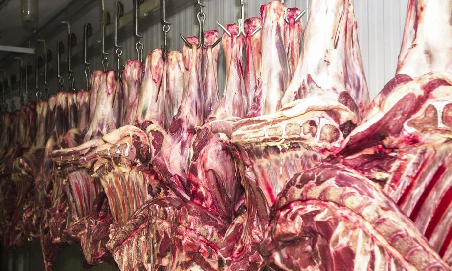A produção de carne bovina deve alcançar 10,57 milhões de toneladas no Brasil, segundo projeções da USDA