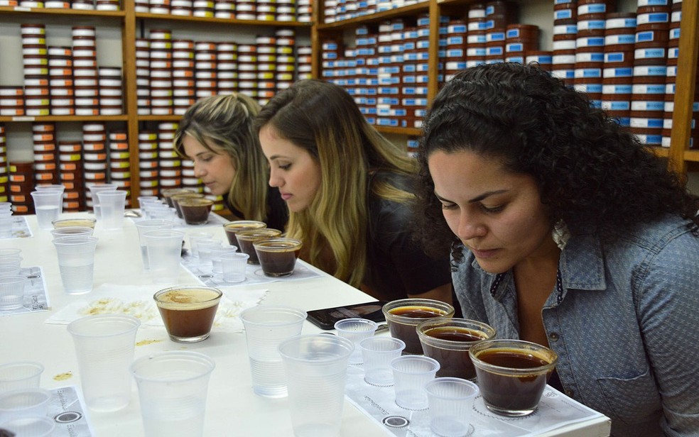 Produtoras de café da Alta Mogiana Paulista e Mineira integram a Associação Internacional de Mulheres do Café (IWCA) — Foto: Divulgação