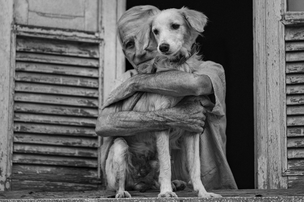 Ensaio entre "Seu Zé" e o cãozinho Bob Pará de Minas  — Foto: Ana Marques/Divulgação 