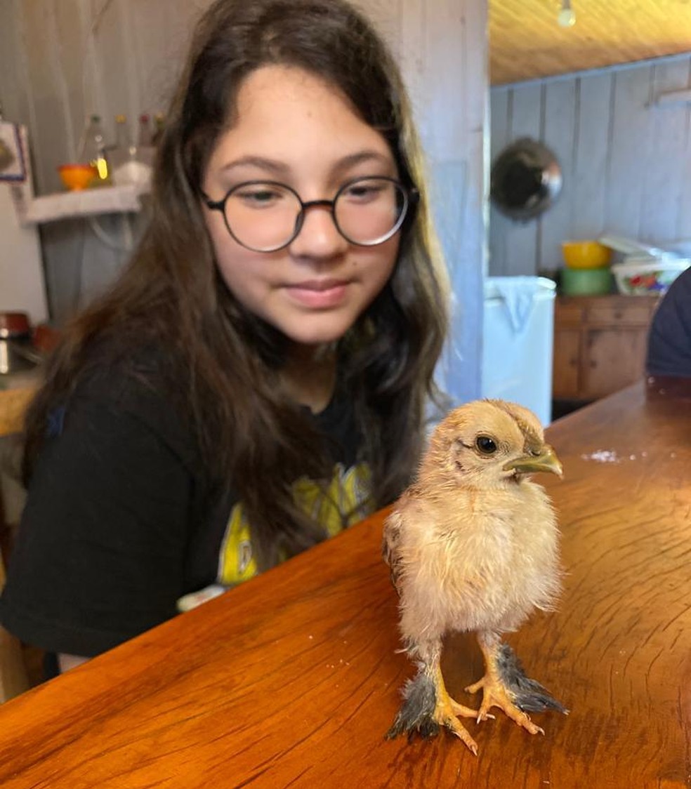 Paixão por animais começou nos primeiros anos de vida — Foto: Acervo pessoal