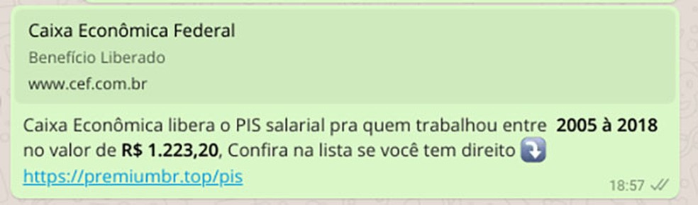 Golpe (Foto: ReproduÃ§Ã£o/Whatsapp)