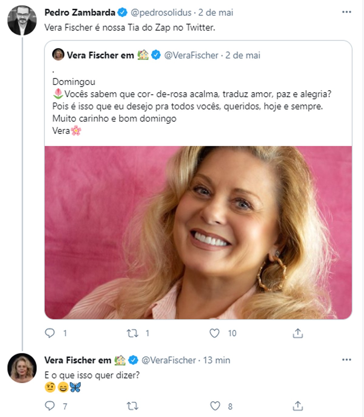 Vera Fischer (Foto: Reprodução/Twitter)