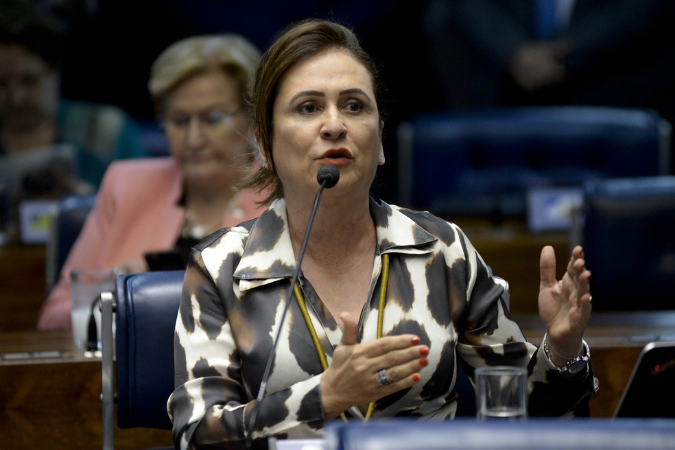 A senadora Katia Abreu no plenário do Senado em imagem de 4 de outubro (Foto: Jefferson Rudy / Agência Senado)