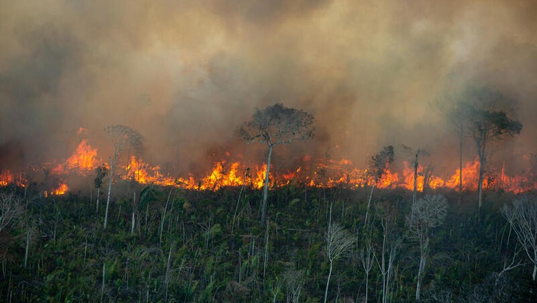 Coluna de fogo avança sobre floresta degradada em área de floresta pública não destinada em Porto Velho, Rondônia. (Foto: Christian Braga / Greenpeace)