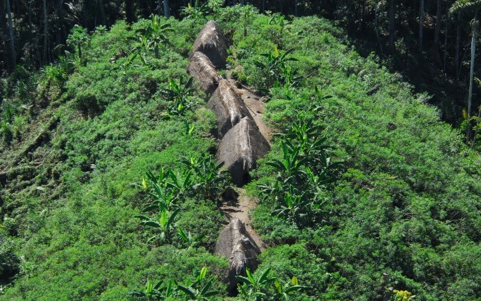 Demarcação de terras indígenas reduziu o desmatamento na Amazônia, diz estudo thumbnail
