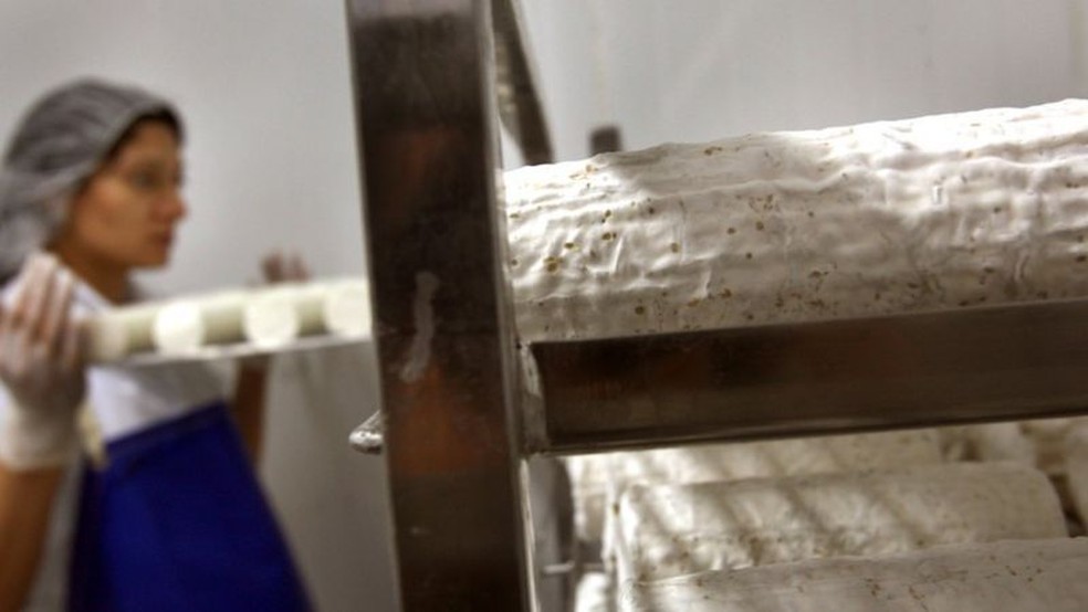 Alguns queijos, como gorgonzola e roquefort, são deliberadamente infectados com fungos — Foto: Getty Images via BBC