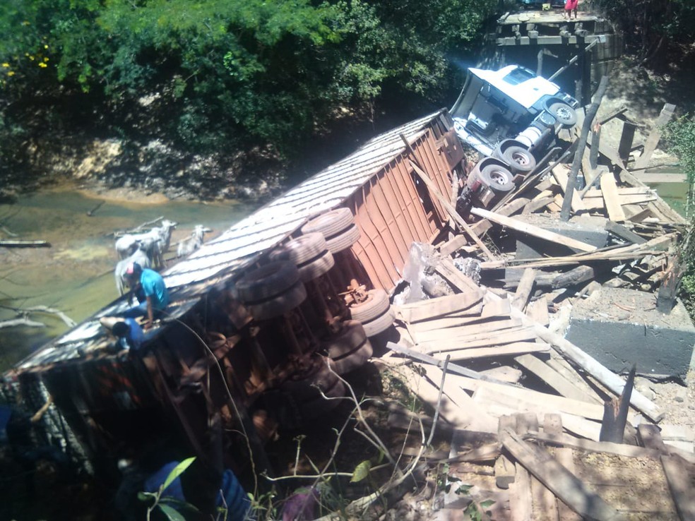 Ponte desabou e alguns animais morreram (Foto: JoÃ£o Carlos Lopes/Defesa Civil)