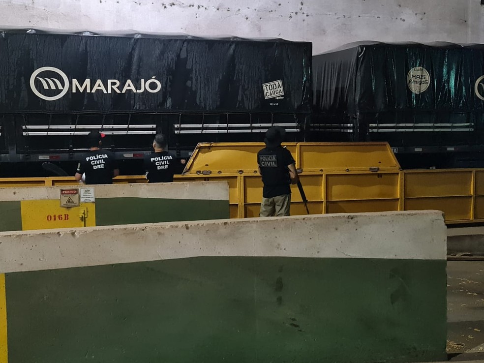 Motorista é preso com 750 kg de cocaína escondidos em carga de milho de caminhão em Mato Grosso — Foto: Polícia Civil de Mato Grosso
