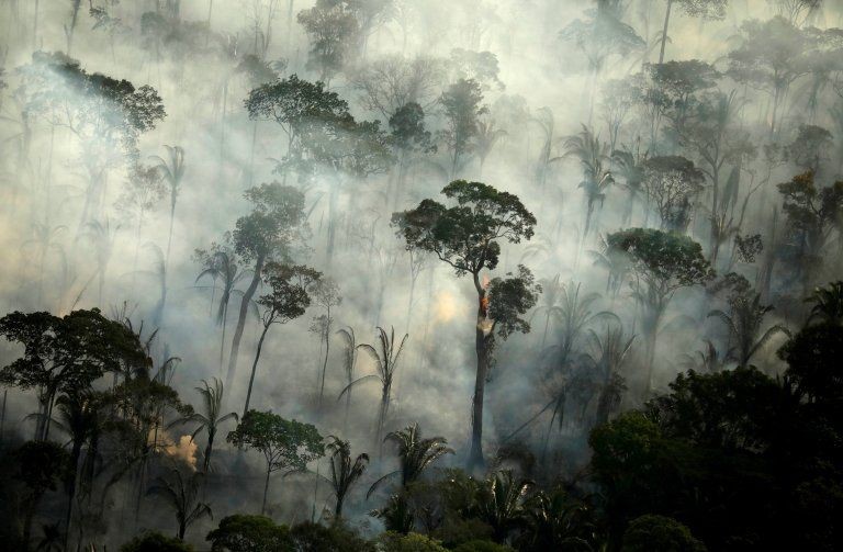 Brasil chega a encontro multilateral pressionado a reduzir desmatamento na Amazônia (Foto: Reuters via BBC )