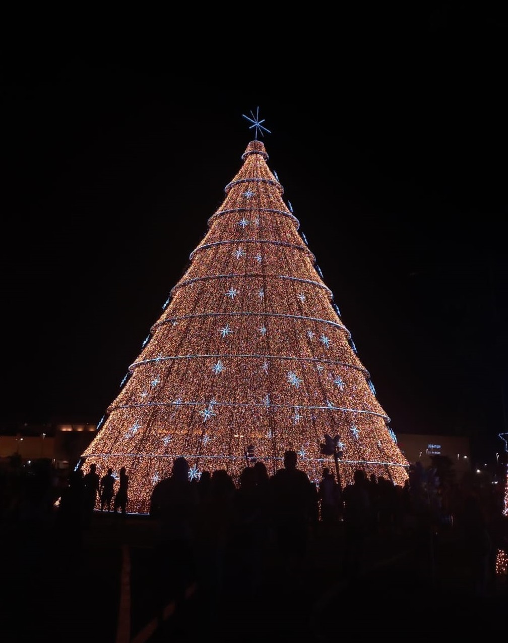 Árvore natalina gigante em Porto Velho — Foto: Jaíne Quele Cruz/g1