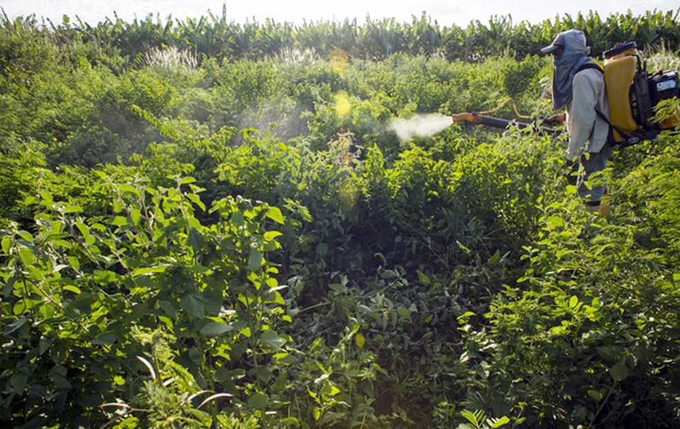 FuncionÃ¡rio aplica agrotÃ³xico em pequena fazenda em Limoeiro do Norte, no CearÃ¡ em 16 de janeiro  â€” Foto: Reuters/Davi Pinheiro/Arquivo