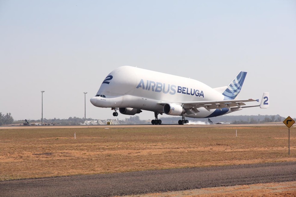 Aeronave 'Beluga' pousa no Aeroporto de Viracopos, em Campinas — Foto: Osvaldo Furiatto