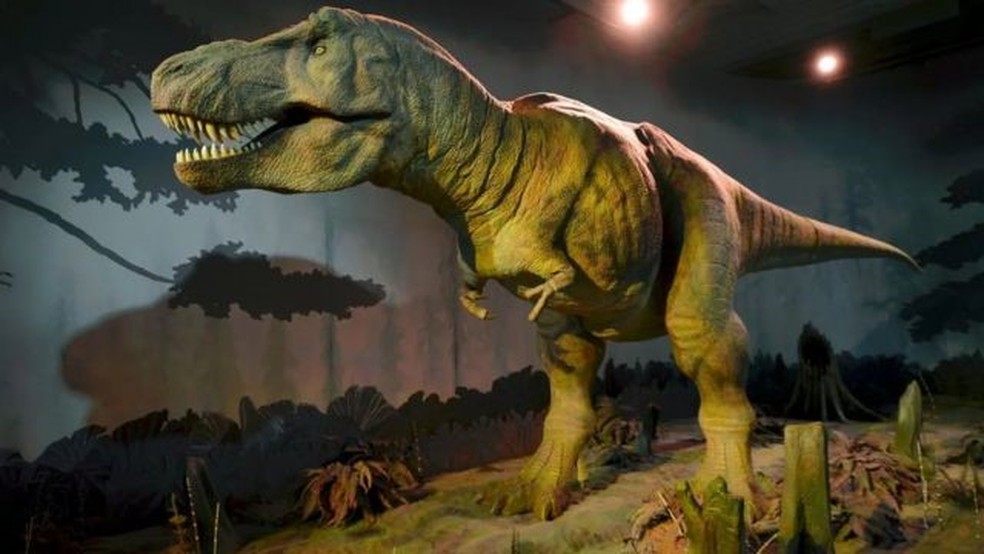 Os minúsculos braços do T. rex podem ter servido para que o animal se levantasse do chão — Foto: GETTY IMAGES