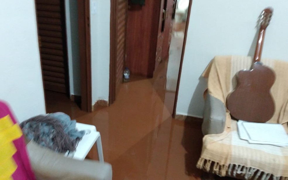 Chuva invade casa e cachorrinha sobe em banco para se proteger de água em São José da Barra — Foto: Tony Rios