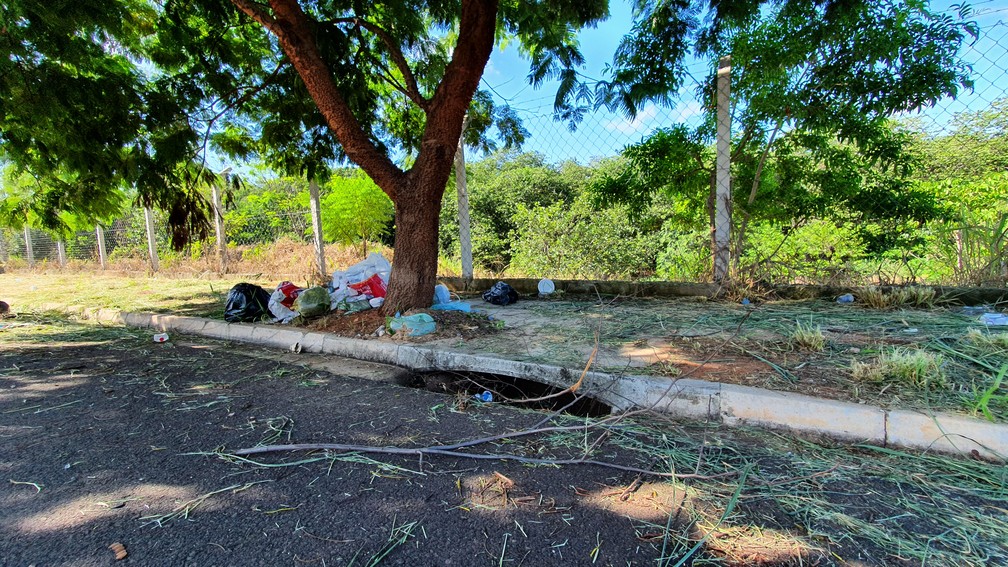 Pessoas jogam resíduos e lixos diversos em locais com área verde — Foto: Stephanie Fonseca/g1