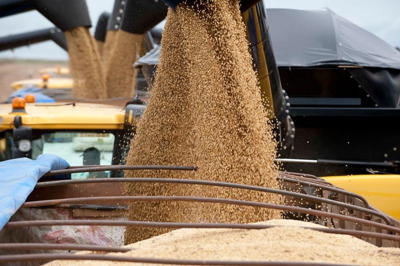 Crescimento da safra de soja teve impacto positivo no primeiro trimestre (Foto: Getty Images via BBC News)