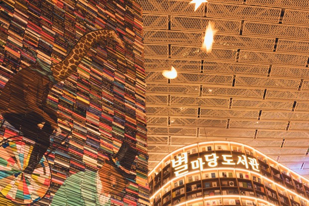 Biblioteca em Seul tem decoração natalina com esculturas gigantes feitas de livros (Foto: Reprodução )