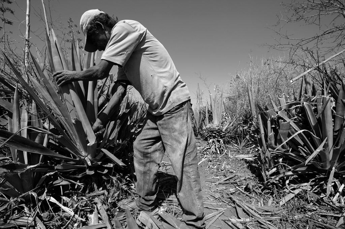 Exemplos De Trabalho Analogo A Escravidão
