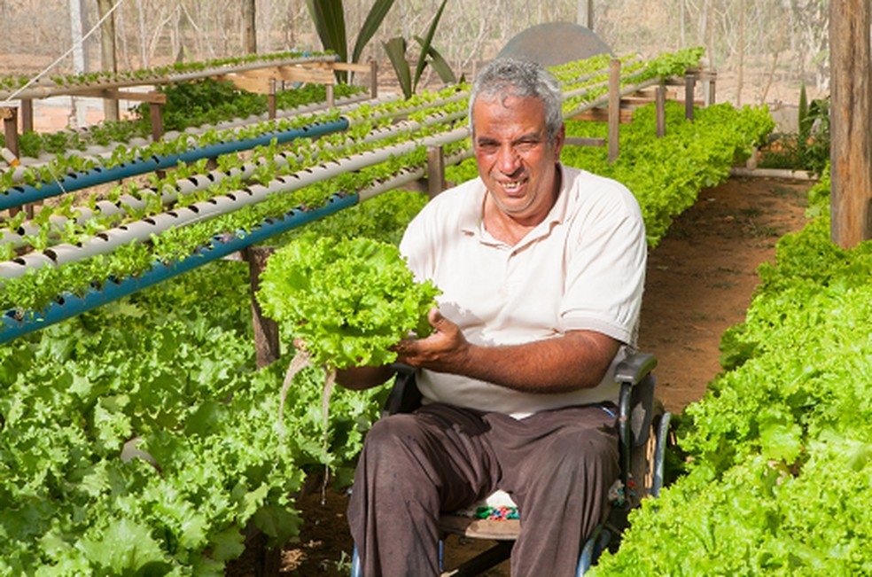 Paulo adotou o sistema de hidroponia para poder plantar alface. — Foto: Divulgação Senar