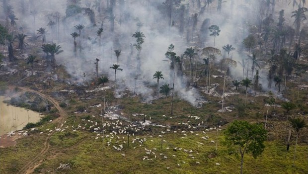 BBC- desmatamento (Foto: Greenpeace Photo/Daniel Beltra via BBC)