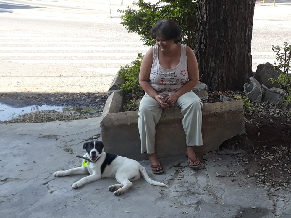 Cachorro Timão, resgatado de córrego na Zona Norte, ao lado da mãe de Bianca, Floripedes Guimarães (Foto: Bianca Macedo/Arquivo pessoal)