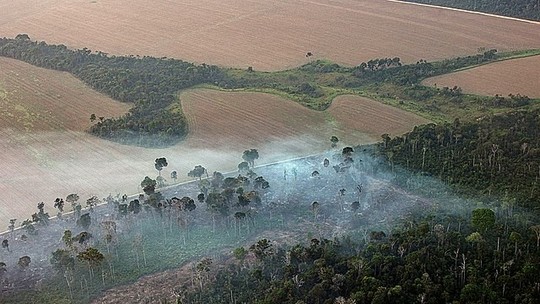 Na Amazônia, 38% da floresta que sobreviveu ao desmatamento está sujeito à degradação
