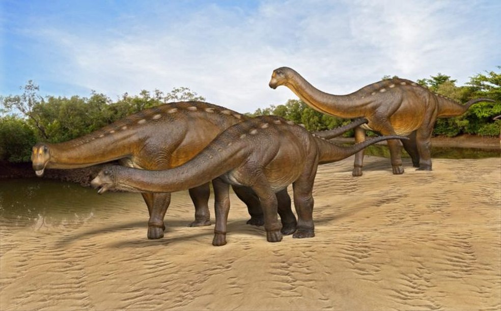 Acredita-se que os fósseis sejam de um titanossauro, espécie que viveu no período cretáceo, há 80 milhões de anos — Foto: Hugo Cafasso