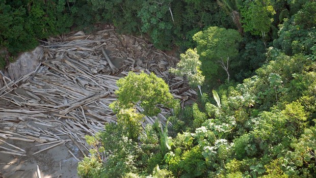 desmatamento (Foto: Arquivo/Agência Brasil)