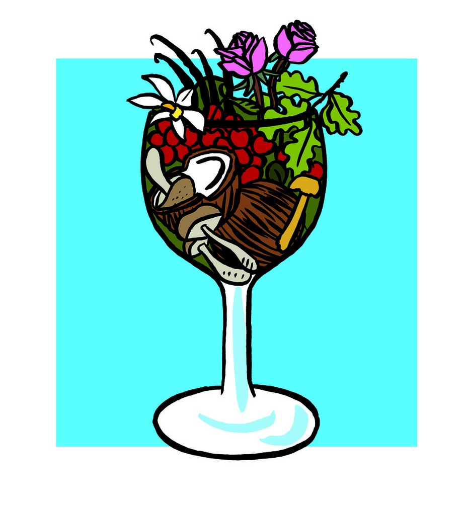 Riqueza de aromas do vinho: livro desvenda os segredos da bebida
