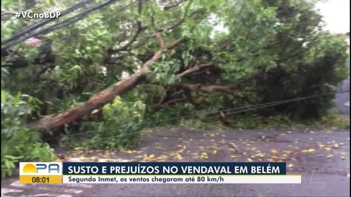 Ventos em Belém chegam a 80 km/h, aponta Inmet: 'meia hora para destruir tudo', diz trabalhador