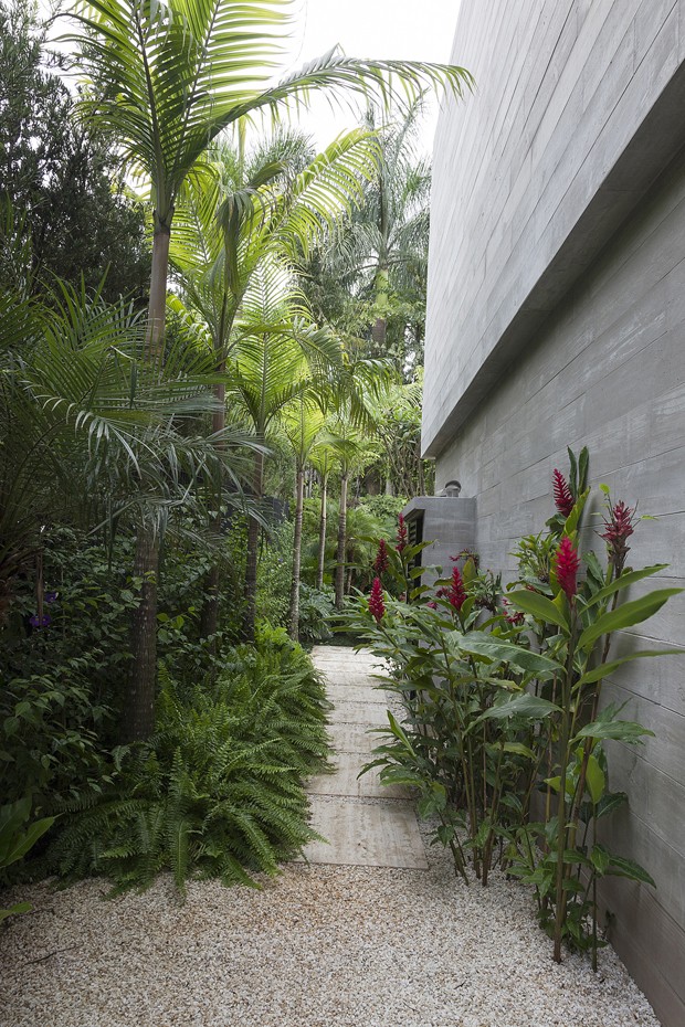 Um jardim contemplativo com espécies tropicais (Foto: divulgação)