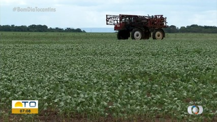 Sojicultores devem cadastrar áreas cultivadas; prazo vai até o próximo dia 26
